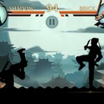 Shadow Fight 2