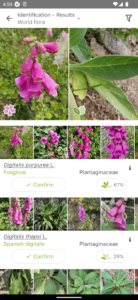 تحميل تطبيق Plant Identifier AI Plant Care العناية بالنباتات 2