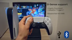 PSPlay: Remote Play 2